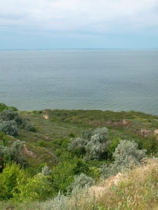 курганы Приднепровья