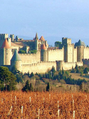 800px carcassonne vignes