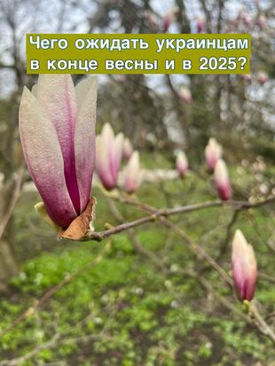 прогноз